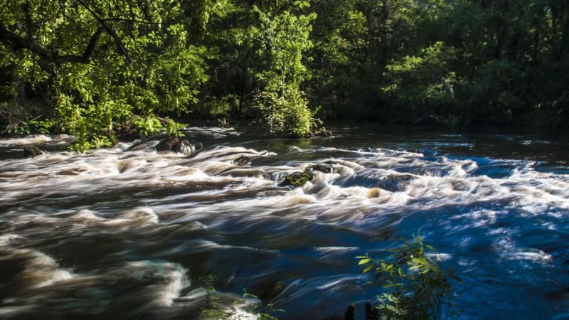 Hillsborough River